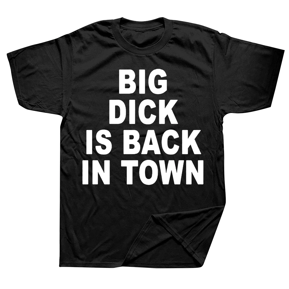 Big Dick Fun Sex Guide T-shirt - Summer Clothing Guide recension och pris
