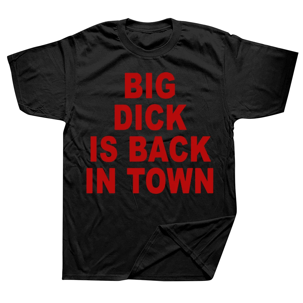 Big Dick Fun Sex Guide T-shirt - Summer Clothing Guide recension och pris